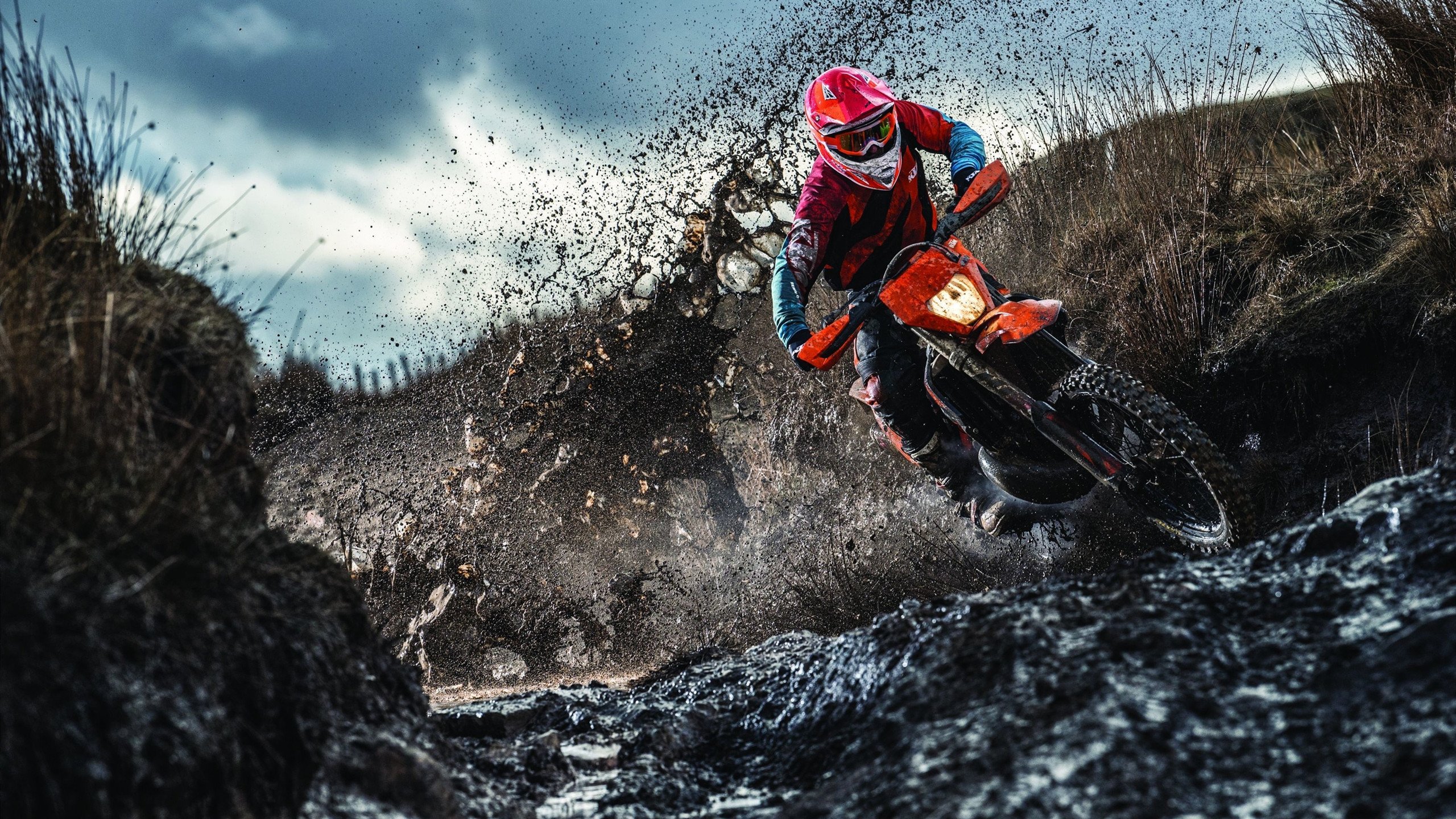 数据复盘：武汉三镇半决赛对阵巴塞罗那，张本智和效率值爆表